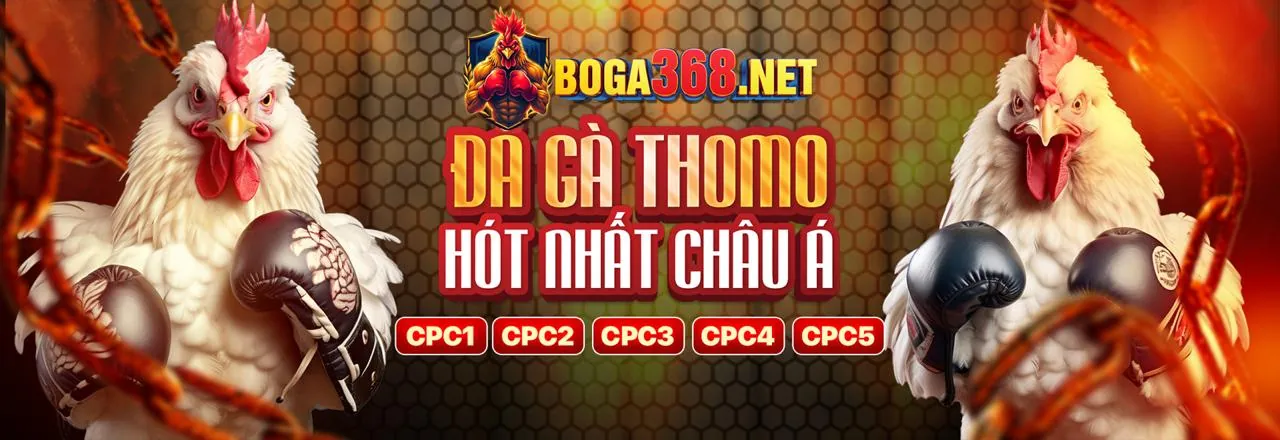 Đá Gà Trực Tuyến Hấp Dẫn tại 8xbet77 Link Mới
