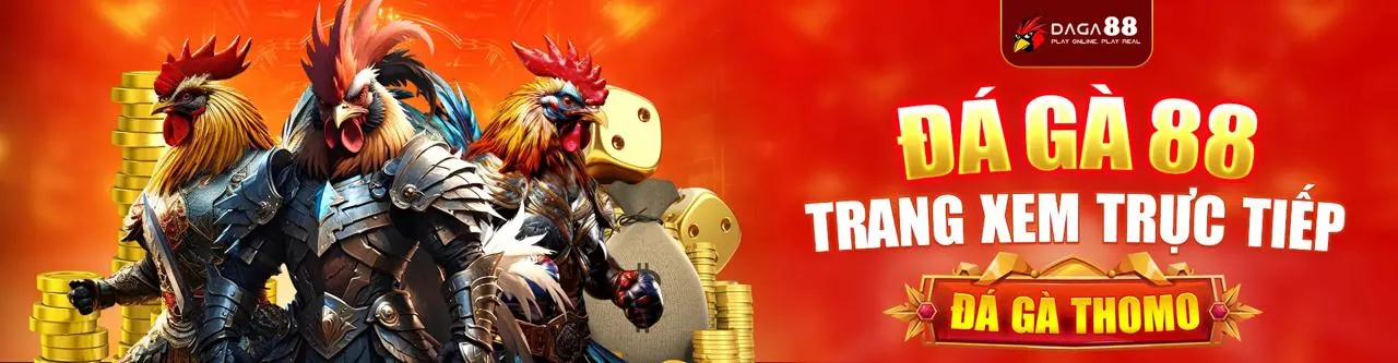 Tuân thủ GDPR của 8xBet77 link mới
