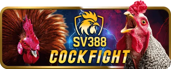 Các môn thể thao khác 8xbet77 link mới